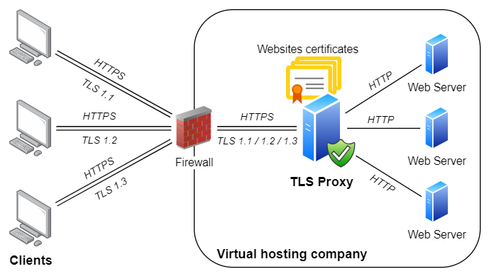 Reverse TLS Proxy in virtual hosting